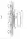 Fig. 02 - Probe device having a structure for being prevented from deforming