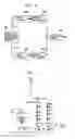 Fig. 05 - Power amplifier