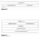 Fig. 06 - AGGREGATED SESSION MANAGEMENT METHOD AND SYSTEM