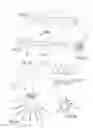 Fig. 07 - APPLICATOR FOR COMBING THE EYELASHES OR THE EYEBROWS OR FOR APPLYING A COMPOSITION THERETO