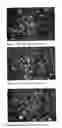 Fig. 02 - NOVEL LEAD-FREE BRASS ALLOY