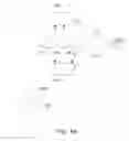 Fig. 08 - HAND CLEANSING/SANITIZING METHOD AND APPARATUS
