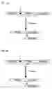 Fig. 06 - Methods of Treating Chronic Neurogenic Inflammation Using Interleukin Retargeted Endopepidases