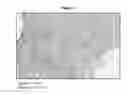 Fig. 06 - METHODS FOR THE DETECTION AND QUANTITATION OF PTEN