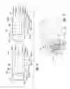 Fig. 09 - COMPOSITIONS AND METHODS FOR MODULATING CELLULAR MEMBRANE-MEDIATED INTRACELLULAR SIGNAL TRANSDUCTION