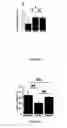 Fig. 06 - Compositions and methods for promoting patency of vascular grafts