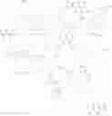 Fig. 46 - Radiation curable compositions for food applications