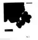 Fig. 02 - METHOD FOR PREPARING AN INORGANIC CRYSTALLINE CERAMIC MATERIAL HAVING AN ORGANIZED STRUCTURE