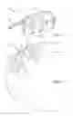 Fig. 02 - Device for Positioning Artificial Teeth