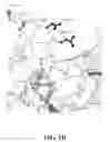 Fig. 05 - COMPOSITIONS FOR REAL-TIME, SINGLE MOLECULE SEQUENCE DETERMINATION