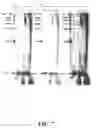 Fig. 10 - COMPOSITIONS FOR REAL-TIME, SINGLE MOLECULE SEQUENCE DETERMINATION