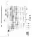 Fig. 12 - COMPOSITIONS FOR REAL-TIME, SINGLE MOLECULE SEQUENCE DETERMINATION