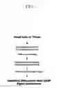 Fig. 02 - Quantitative DNA Methylation Imaging of Cells and Tissues