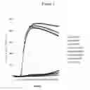 Fig. 02 - Detection of by loop mediated isothermal amplification