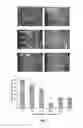 Fig. 02 - Prostaglandin E2 modulation and uses thereof