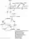Fig. 01 - Microbial production of pyruvate and pyruvate derivatives