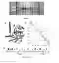 Fig. 02 - STABLE, FUNCTIONAL CHIMERIC CELLOBIOHYDROLASES