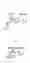 Fig. 02 - Recombinantly modified plasmin