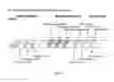 Fig. 06 - ASSAY