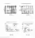 Fig. 02 - Expression of Human Serum Albumin in Plastids
