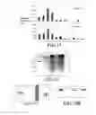 Fig. 09 - Expression of Human Serum Albumin in Plastids