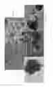 Fig. 02 - Methods of generating embryoid bodies and uses of same