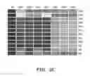 Fig. 07 - Methods and compositions for homologous recombination in human cells