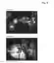 Fig. 07 - Fluorescent protein and chromoprotein