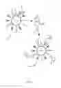 Fig. 05 - NANO-BIOSENSOR FOR BIOMOLECULAR RECOGNITION AND A METHOD OF SYNTHESIZING THE SAME