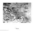 Fig. 08 - NANO-BIOSENSOR FOR BIOMOLECULAR RECOGNITION AND A METHOD OF SYNTHESIZING THE SAME