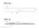 Fig. 02 - DETECTION METHOD AND DETECTION KIT