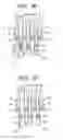 Fig. 18 - Fabrication method of semiconductor integrated circuit device