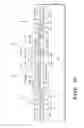 Fig. 08 - Method of sensing a high voltage