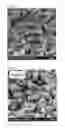 Fig. 15 - ETCHING METHOD AND METHOD FOR MANUFACTURING OPTICAL/ELECTRONIC DEVICE USING THE SAME