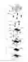 Fig. 03 - BURN-IN SOCKET WITH INTENSIFIED SOCKET BODY
