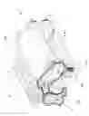 Fig. 02 - CREASING, PERFORATING AND FOLDING DEVICE