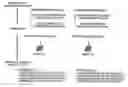 Fig. 01 - METHOD FOR DETECTING ABNORMAL SPOTS OF NUCLEIC ACID MICROARRAY