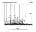 Fig. 09 - Peptide anti-tumor agent