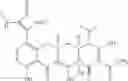 Fig. 366 - Substituted tetracycline compounds