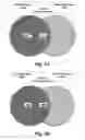 Fig. 02 - GENES DIFFERENTIALLY EXPRESSED IN BIPOLAR DISORDER AND/OR SCHIZOPHRENIA