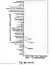 Fig. 07 - GENES DIFFERENTIALLY EXPRESSED IN BIPOLAR DISORDER AND/OR SCHIZOPHRENIA