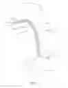 Fig. 02 - Gastric Simulation Anchor and Method