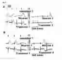 Fig. 02 - Neural device using at least one nano-wire