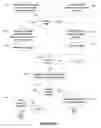 Fig. 06 - CREATING, CONFIRMING, AND MANAGING EMPLOYEE SCHEDULES