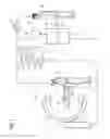 Fig. 02 - Method for transmitting a communication invitation relating to a medical DICOM image