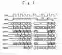 Fig. 07 - Semiconductor integrated circuit and method of testing the same