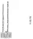 Fig. 80 - Method and apparatus for generating a web site using a multi-dimensional description of the website