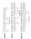 Fig. 08 - IMAGE PROCESSING APPARATUS AND COMPUTER-READABLE STORAGE MEDIUM