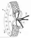 Fig. 07 - MULTI-USE DECORATIVE ACCESSORY STRAP SYSTEM