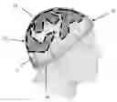 Fig. 01 - PROTECTIVE HEADWEAR FOR WINTER ACTIVITIES